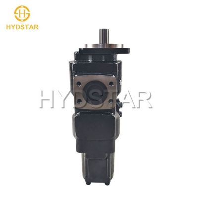 20/925613 Gear Pump